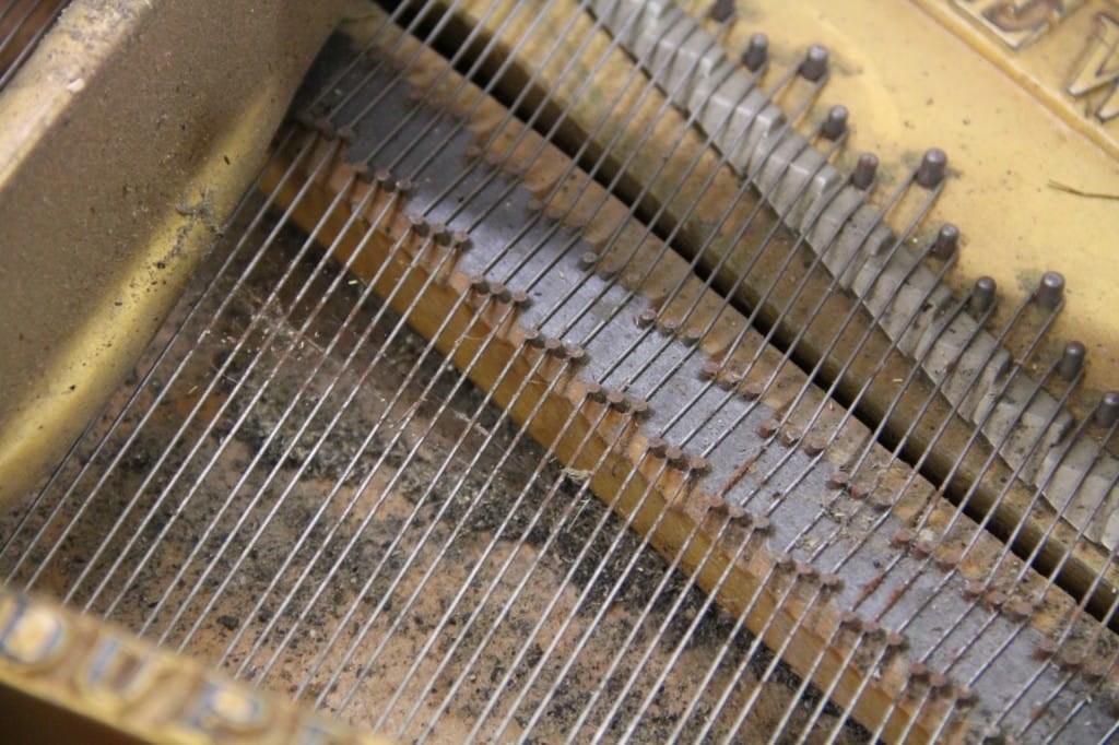 Avant : Steinway & Sons B 1920 — demi-queue — photo 4 sur 4